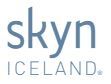 skyniceland.com