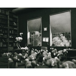 Lori Nix and Kathleen Gerber, Dodo Birds, 2009