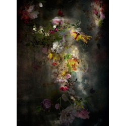 Isabelle Menin, Solstice #7 - Vertical Floral dark abstract landscape contemporary photograph, 2015 found on Bargain Bro from 1stDibs for USD $6,688.00