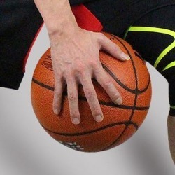 Sport Print Knee Support