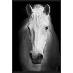Giclee Horse Wall Art, Black/White