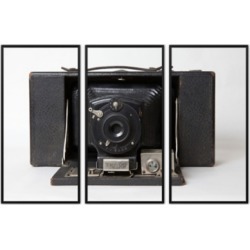 Giclee Camera Triptych Wall Art, Black/White