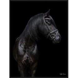 Giclee Night Train Wall Art, Black/Gray