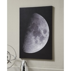 Draco Wall Art, Black/White