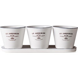 Torre & Tagus Jardinier Set of Three Round Planters On Tray
