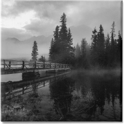 Stupell Industries Foggy Lake Water Sky Misty Forest Rustic Photography Stretched Canvas Wall Art by Ziwei Li found on Bargain Bro from Gilt City for USD $22.79
