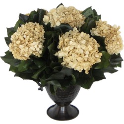 Bougainvillea 15in Basil Hydrangea in Trophy Vase