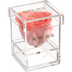 Rose Box NYC Single Chic Coral Rose Jewelry Box