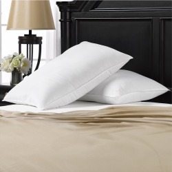 Exquisite Set of 2 Soft Plush Gel Fiber Filled Allergy Resistant Stomach Sleeper Pillows