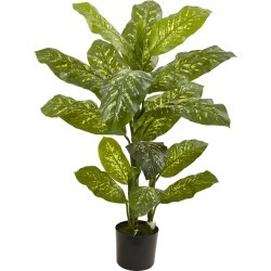 Nearly Natural 4? Dieffenbachia Plant