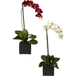 Nearly Natural Set of 2 Phalaenopsis Orchid with Black Vase Silk Arrangement
