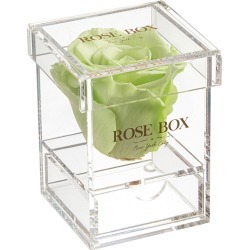 Rose Box NYC Single Light Green Rose Jewelry Box