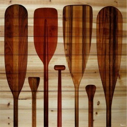Parvez Taj Paddles Paint