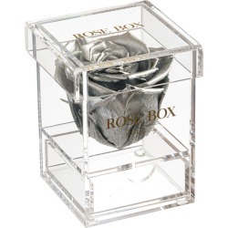 Rose Box NYC Single Silver Rose Jewelry Box