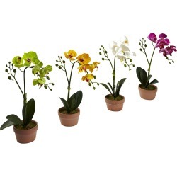 Nearly Natural Set of 4 Phalaenopsis Orchid with Clay Vase