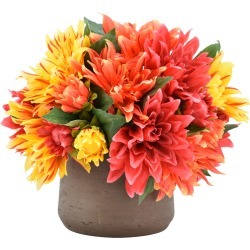 Creative Displays Spider Mums in a Brown Pot