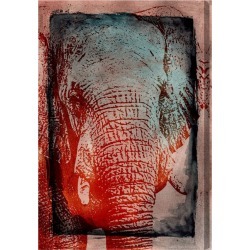 Elephant in the Wild by Oliver Gal