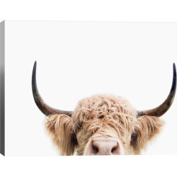 iCanvas Peeking Cow Wall Art found on Bargain Bro from Gilt for USD $68.39