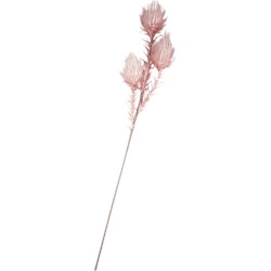 Harvest Decoration