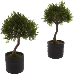 Nearly Natural Set of 2 Cedar Bonsai with Planter