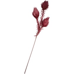 Harvest Decoration