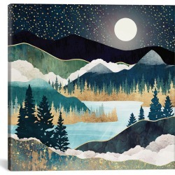 iCanvas Star Lake by SpaceFrog Designs