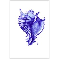 Sea Life in Pen 5, Decorative Framed Hand Embellis