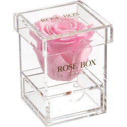 Rose Box NYC Single Light Pink Rose Jewelry Box