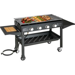 60000BTU 4 Burner Foldable Outdoor Propane Gas Grill with Wheels
