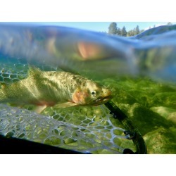 Montana Fly Fishing Experience