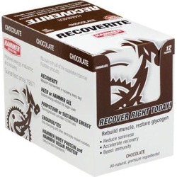 Hammer Recoverite: Chocolate, 12 Single Serving Packets