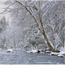 Water flowing in a river with snow covered shoreline Fulford Quebec Canada Poster Print (15 x 15)