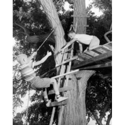 Posterazzi SAL2557724 Low Angle View of Two Boys Playing in a Tree House Poster Print - 18 x 24 in.