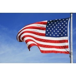 Posterazzi DPI1873799 The American Flag Poster Print, 19 x 12