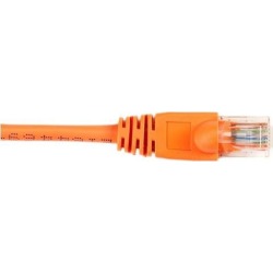 Black Box 3 ft Network Ethernet Cable