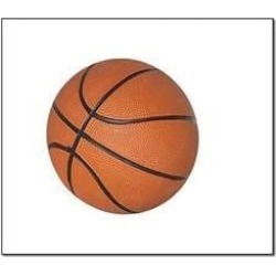 7' Mini Basketball