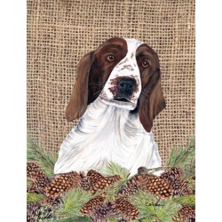 Carolines Treasures SC9043GF Welsh Springer Spaniel Flag - Garden Size