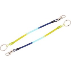 Unique Bargains 2Pcs 3mm Dia Plastic Ring Spring Coil Keychain Green Royalblue Pale Blue