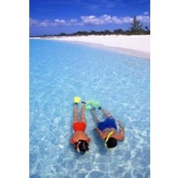 Snorkeling in the blue waters of the Bahamas Poster Print by Greg Johnston (24 x 35)