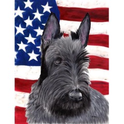 Carolines Treasures SC9032GF 11 x 15 in. Usa American Flag With Scottish Terrier Flag Garden Size