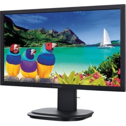 ViewSonic VG2249 22' Monitor, 1920 x 1080, 20M:1 Contract Ratio, 250cd/m2, VESA Compatible 100 x 100 mm, 178/178 Viewing Angles, DisplayPort, HDMI & VGA