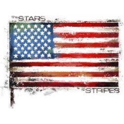 Posterazzi PALMACSTU135366 Stars & Stripes Poster Print by the Macneil Studio - 28 x 22 in.