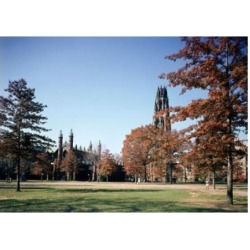 Posterazzi SAL4913186 Yale University New Haven Connecticut USA Poster Print - 18 x 24 in.