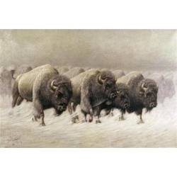 Posterazzi SAL900103105 In the Teeth of the Blizzard E.W. Lenders 1864-1934 American Poster Print - 18 x 24 in.