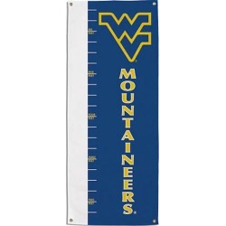 Growth Chart Banner 39012