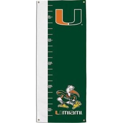 Growth Chart Banner 39031