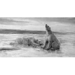 Posterazzi SAL995110334 The Ice Bear by Fred Church Poster Print - 18 x 24 in.