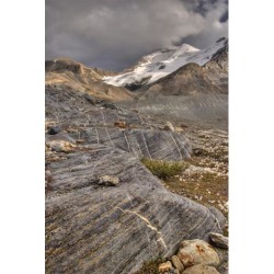 Posterazzi DPI1837566 Mount Athabasca - Jasper National Park Alberta Canada Poster Print, 11 x 17