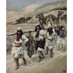 Posterazzi SAL999129 The Grapes of Canaan James Tissot 1836-1902 French Jewish Museum New York USA Poster Print - 18 x 24 in.
