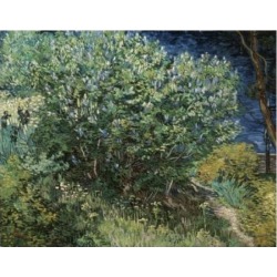 Posterazzi SAL261153 Lilacs 1889 Vincent Van Gogh 1853-1890 Dutch Oil on Canvas Hermitage Museum St Petersburg Russia Print - 18 x 24 in.